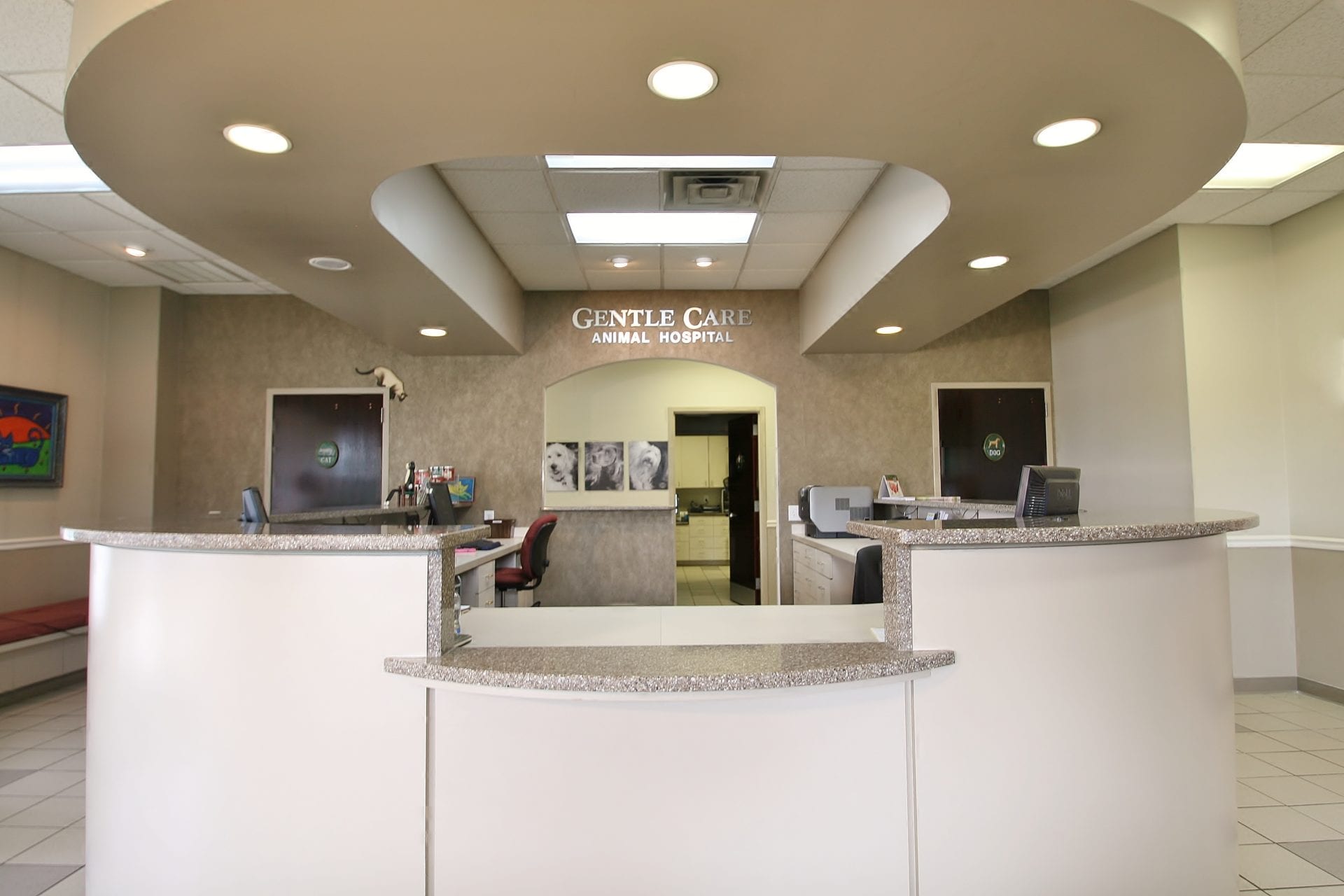 Gentle Care Remodel, Update Animal Hospital